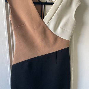 Diane Von Furstenberg (DVF) Little Block dress